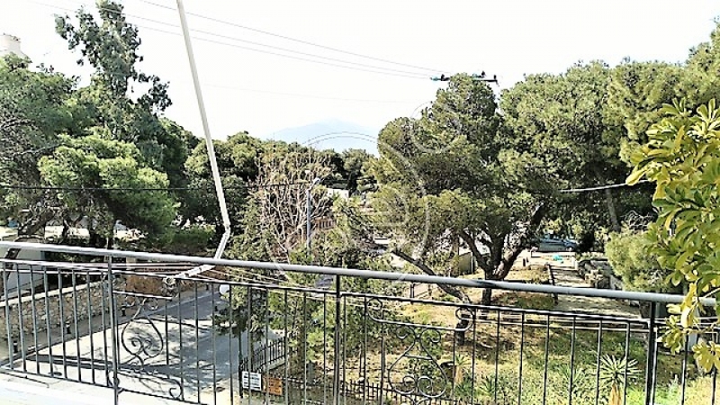 153847_568261_d.jpg