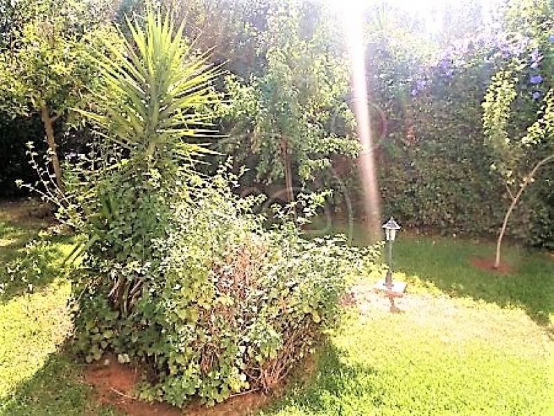 112642_553880_d.jpg