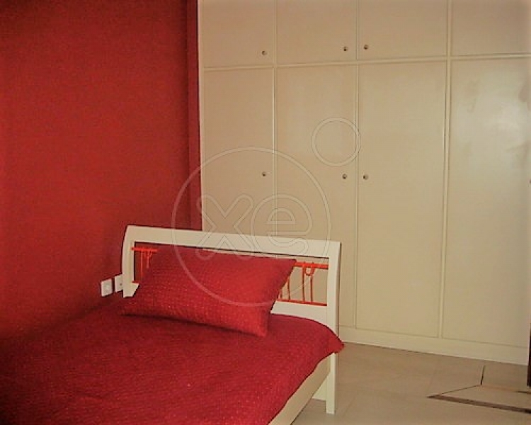 014527_376206_d.jpg