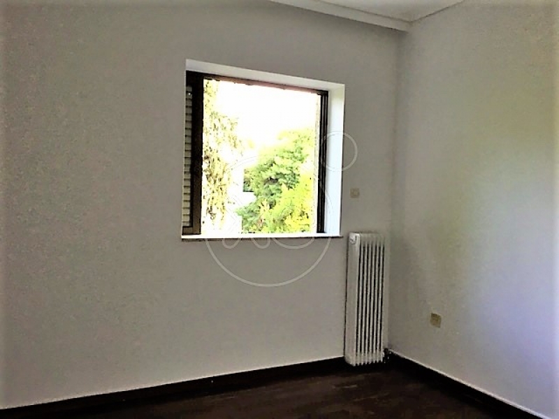 234919_910480_d.jpg