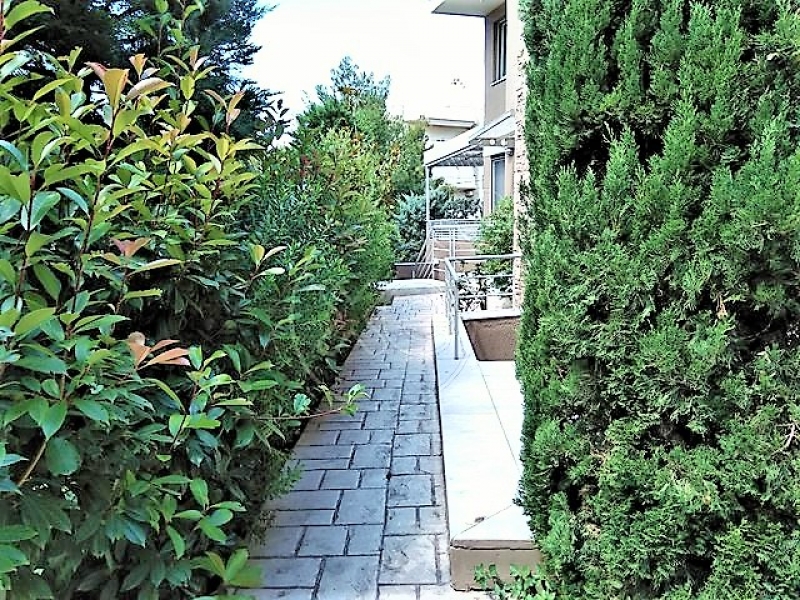 223743_495700_d.jpg