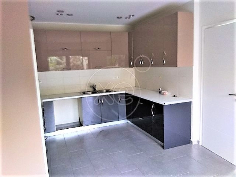 223743_825665_d.jpg
