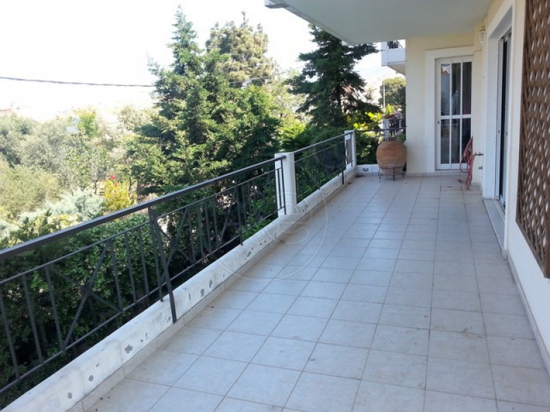 174949_465079_d.jpg