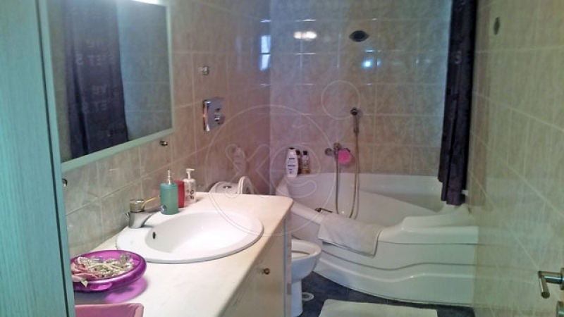 155750_256618_d.jpg