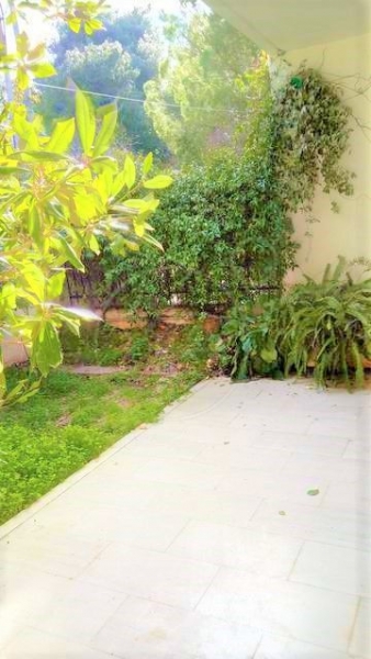 Image05.jpg